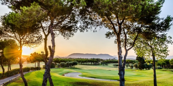 Sunset at El Plantio Golf Club with the course visible through the trees