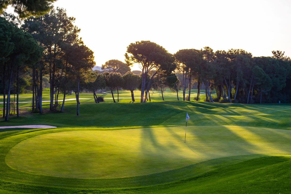 Tree lined fairway at Montgomerie Maxx Royal Golf Course