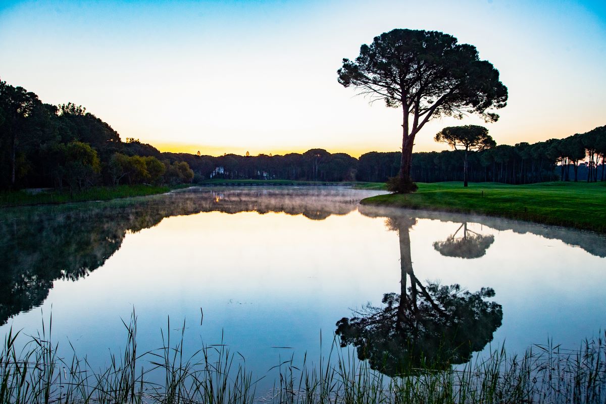 Lake with large tree silhouette at Montgomerie Maxx Royal Golf Course