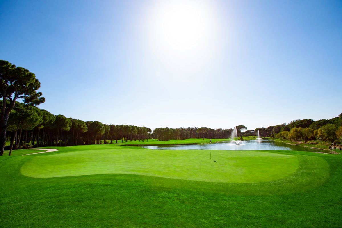 Lush green grass on Montgomerie Maxx Royal Golf Course