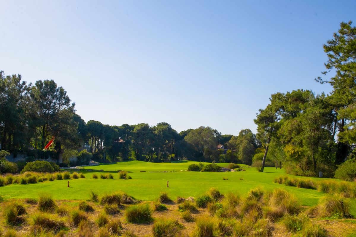 Shrubbery with fairway in the distance at Montgomerie Maxx Royal Golf Course