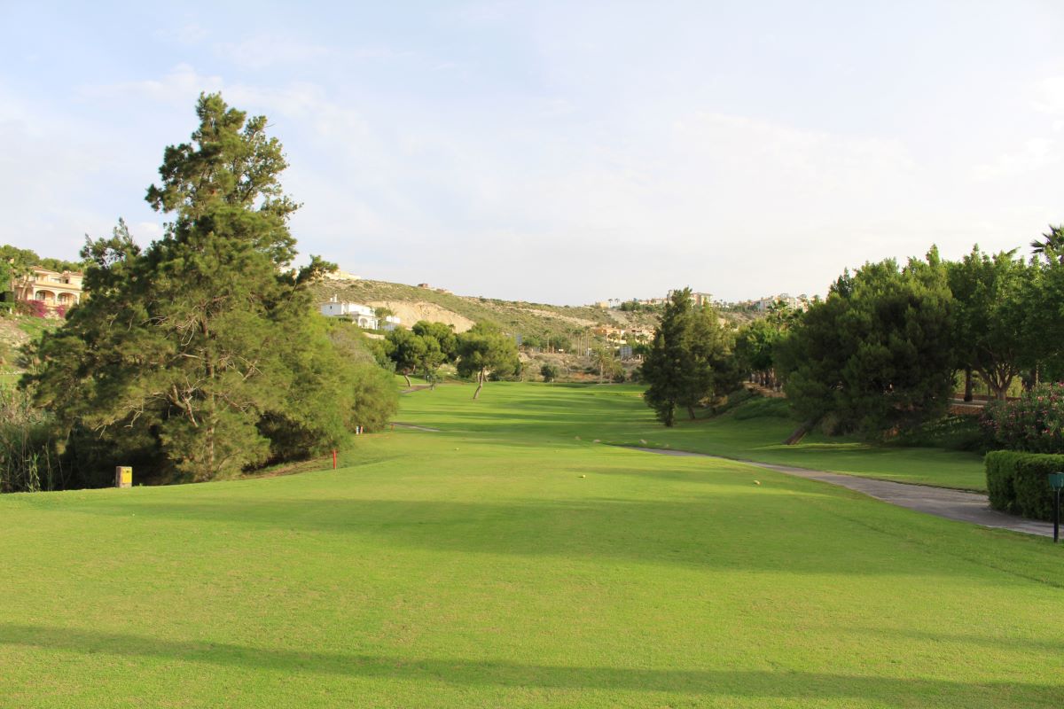 Green fairway with trees either side at Bonalba golf course