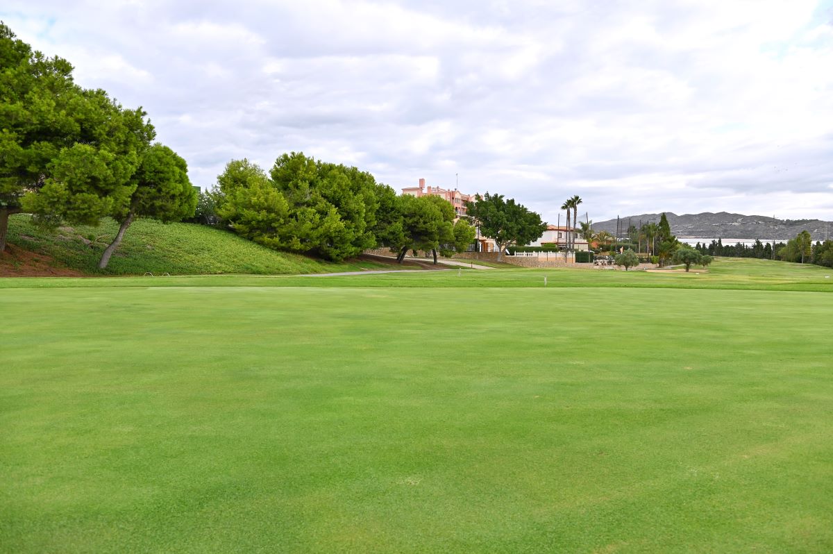 Lush green fairway at Hotel Bonalba Alicante