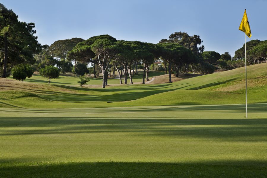 Putting green with yellow flag at Palacio Estoril with green trees in the distance