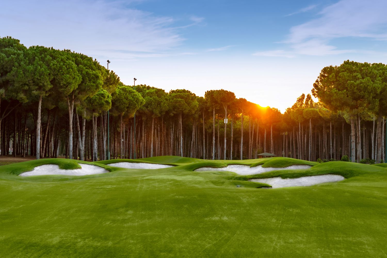 Sun rising over the trees at Carya Golf Club