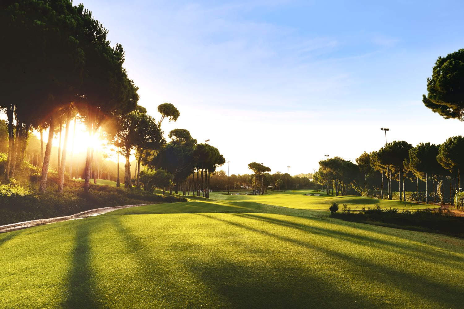 Sunlight through the trees at Carya Golf Club in Belek, Turkey