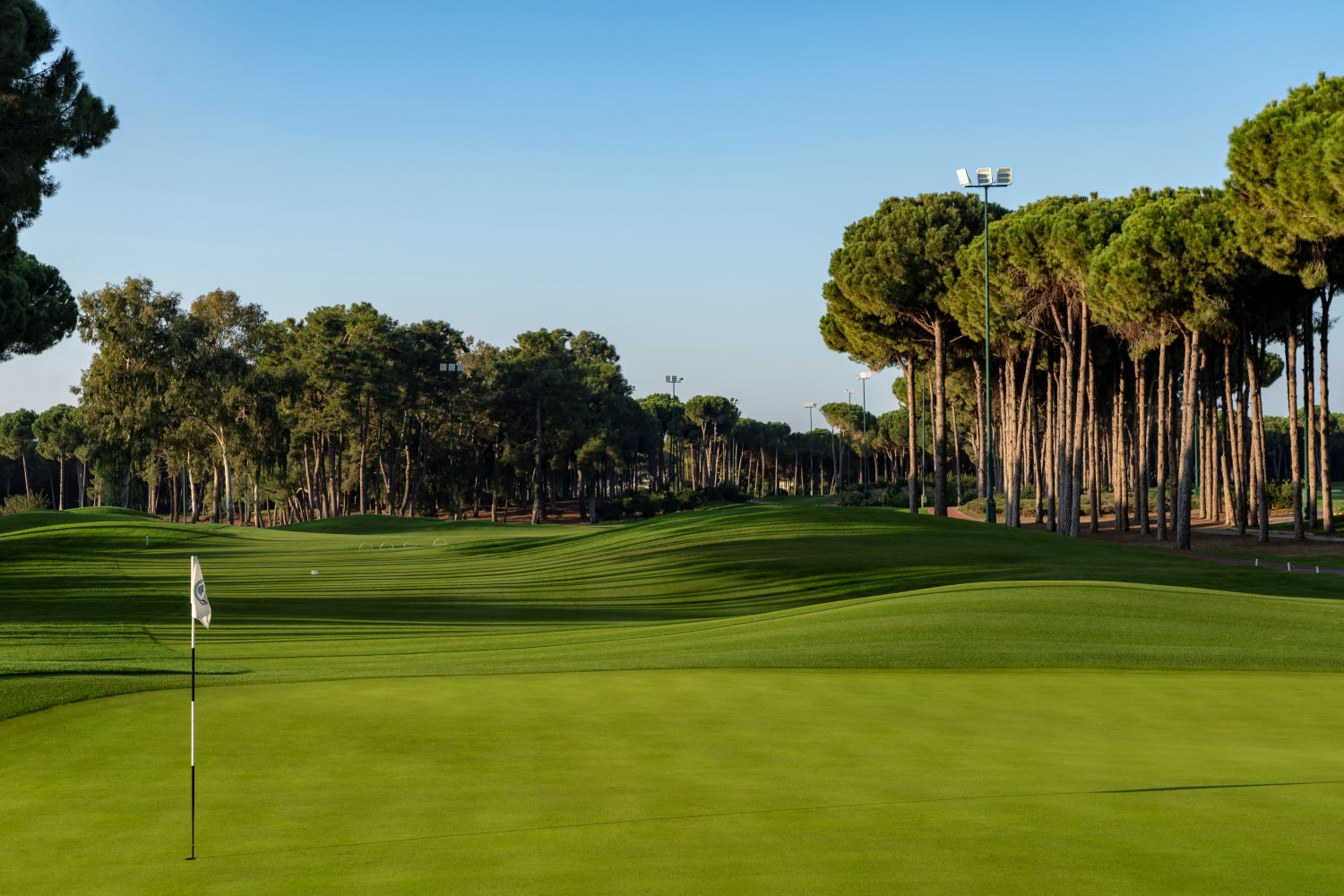 Lush green grass on fairway at Carya Golf Club