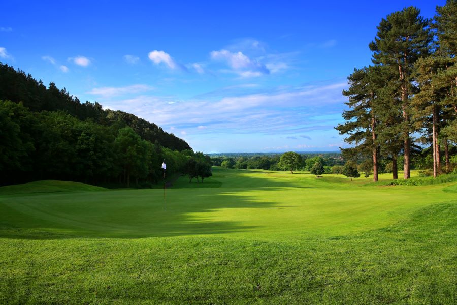 The green at Carden Park Hotel