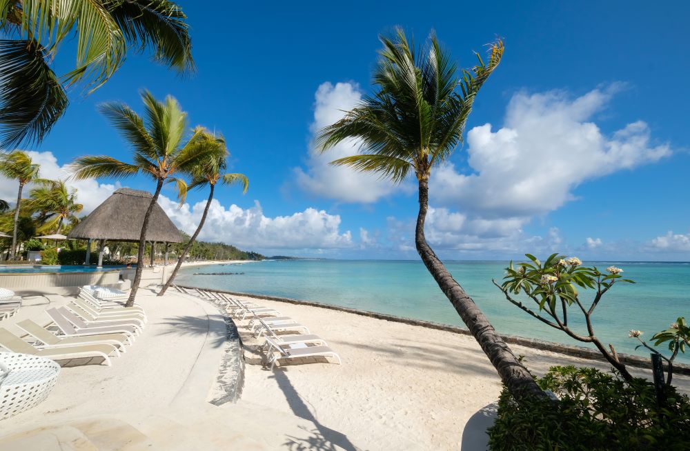 Palm trees on the beach in Mauritius