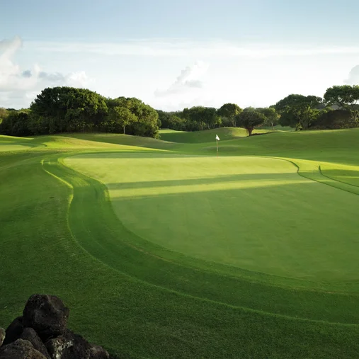 Lush green fairway on Links Course in Mauritius