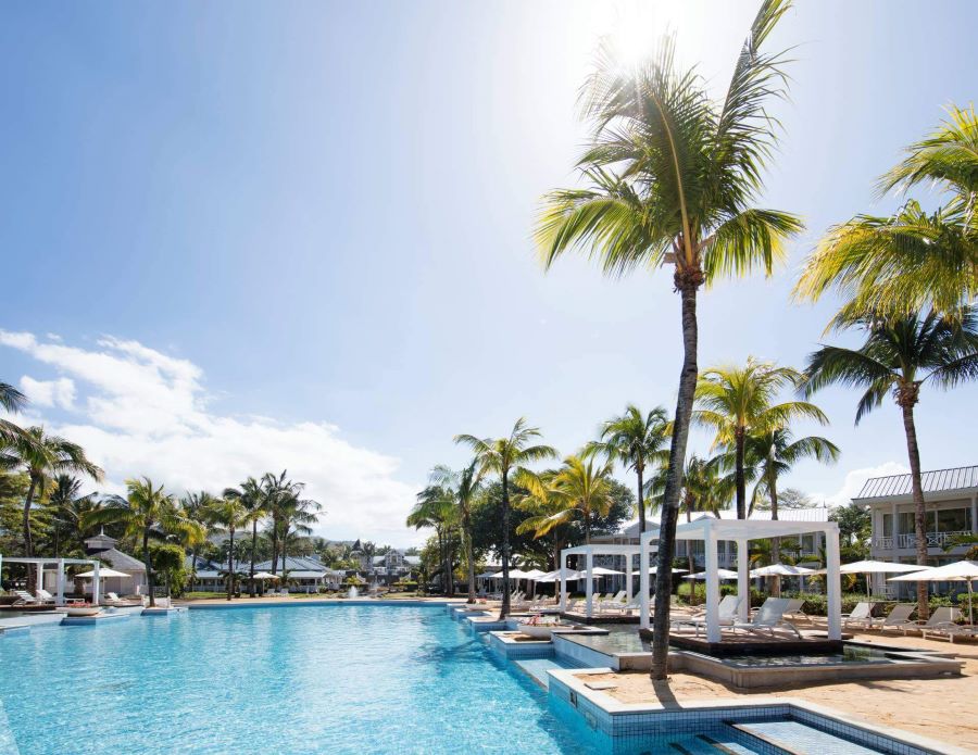 Palm tree overlooking the swimming pool at Heritage Le Telfair Golf & Wellness Resort in Mauritius