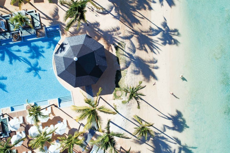 Palm trees on the beach at the front of Heritage Le Telfair Golf & Wellness Resort in Mauritius