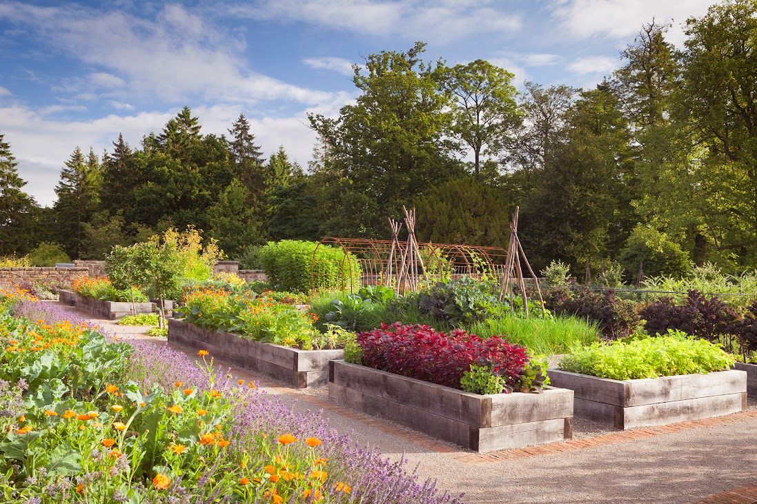 Landscaped gardens at Rudding Park