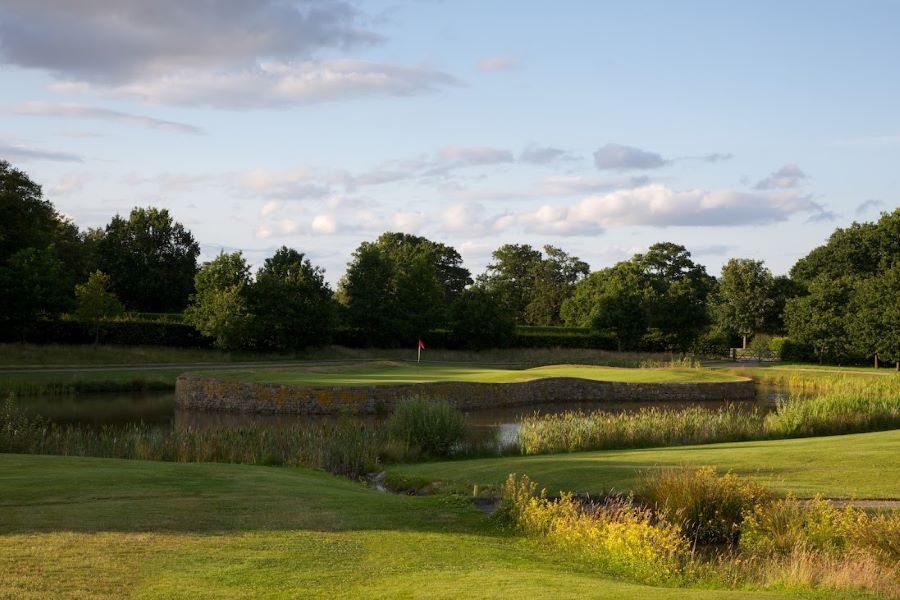 Row of trees lining the fairways at Rudding Park