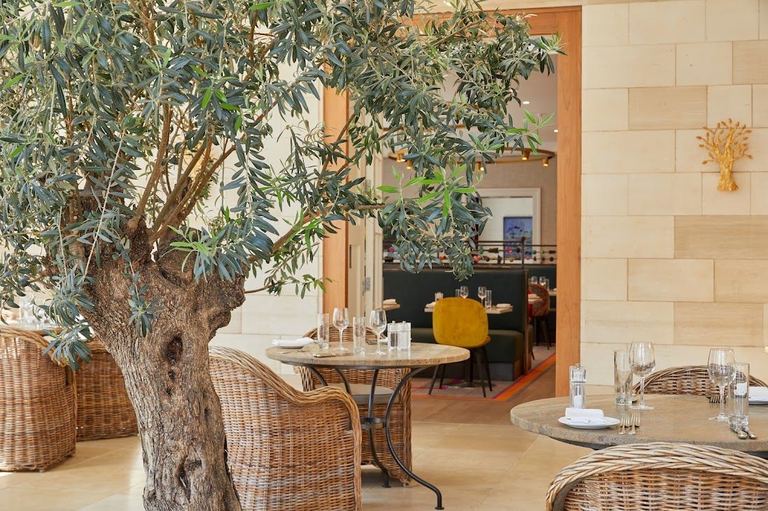 Seating area with tables and chairs behind indoor tree at Rudding Park