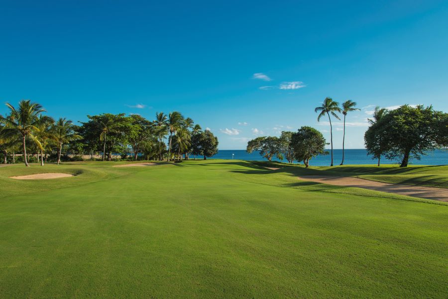 Palm trees and sand bunker between the fairway and the sea on Teeth of the Dog