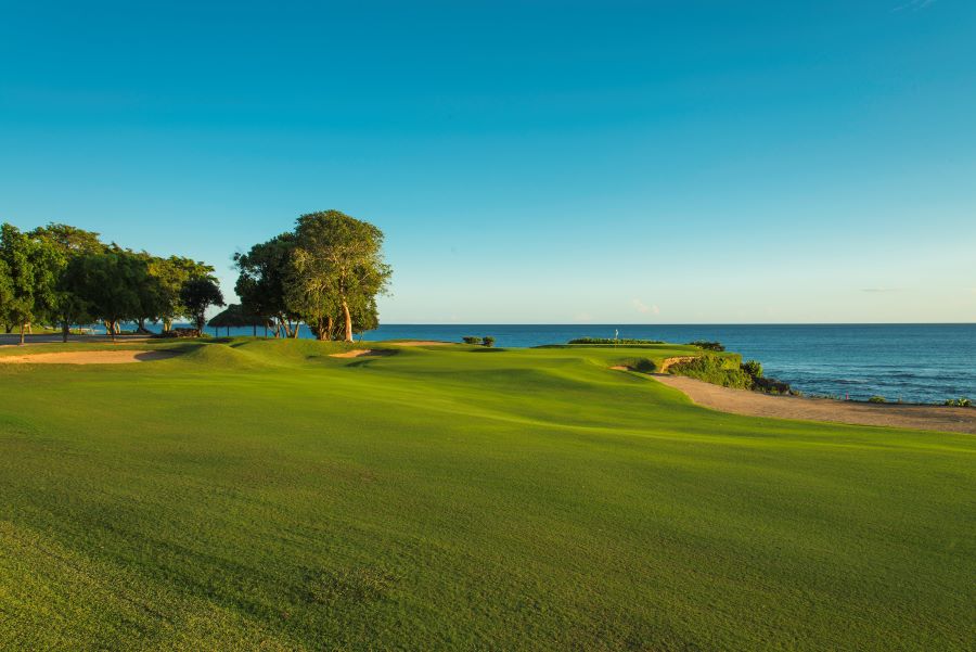 Lush green fairway at Teeth of the Dog in Dominican Republic