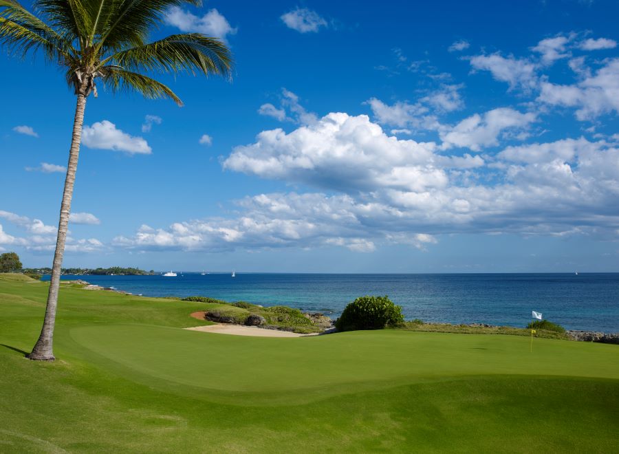 White clouds and blue sky above Teeth of the Dog golf course