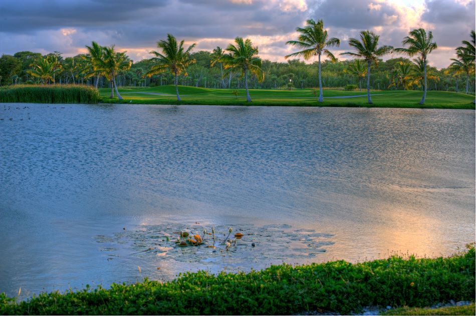 Large lake with palm trees in the distance at The Lakes Barcelo Course