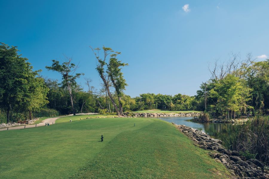 View down the fairways from the tee box at Iberostar Bavaro Golf Club