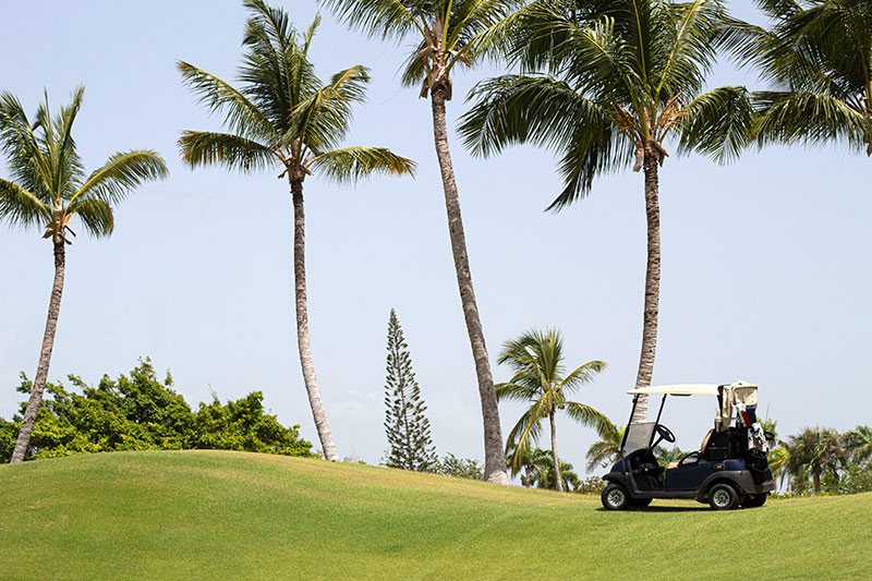 Palm trees and golf buggy at Cocotal Golf & Country Club