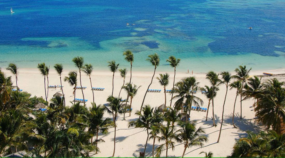 Beach with palm trees and sun loungers at Melia Punta Cana Beach Resort